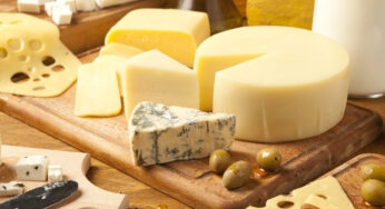 ¿Es posible congelar el queso feta? Descubre la respuesta aquí