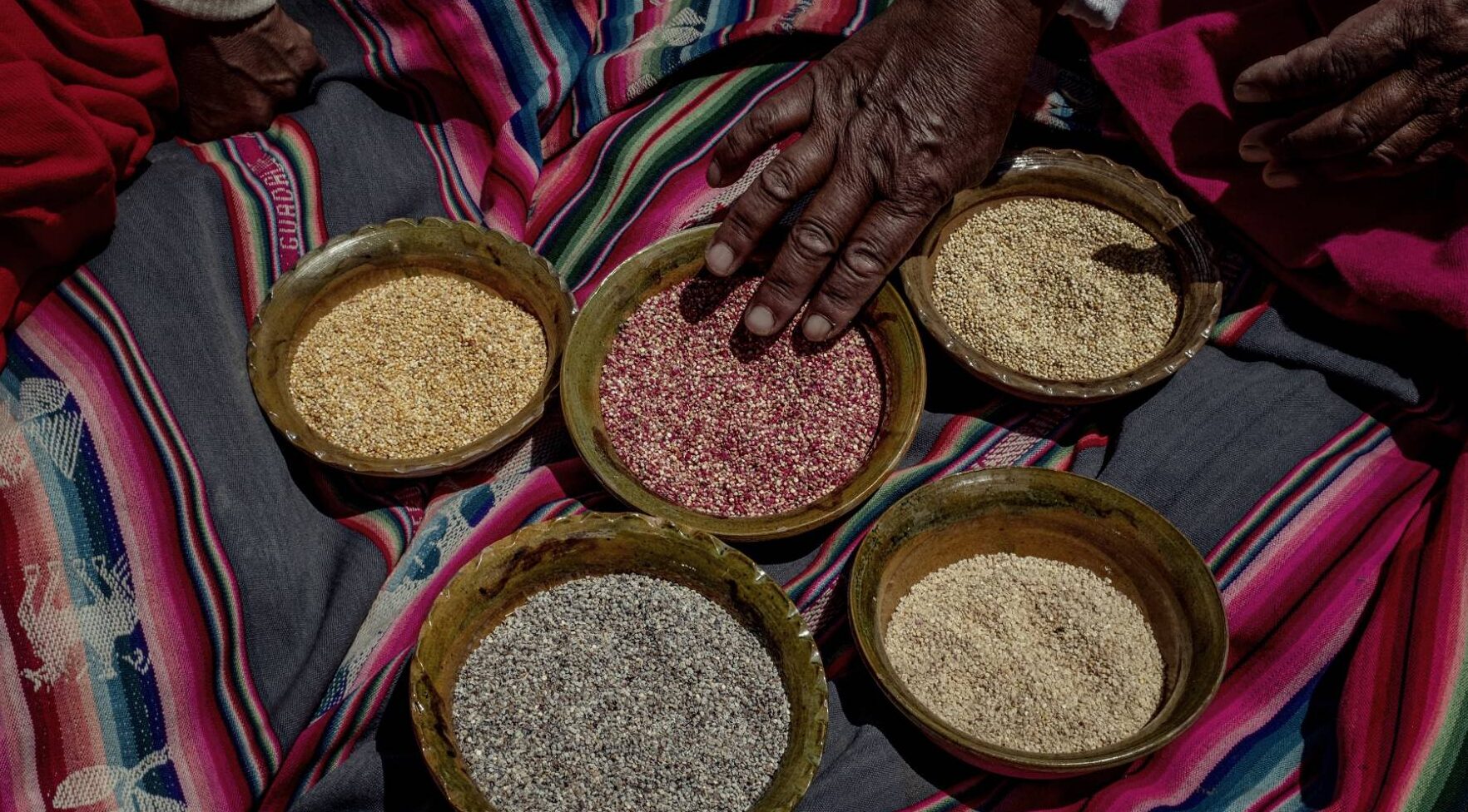 5 consejos para conservar la quinoa cocida y disfrutarla por más tiempo