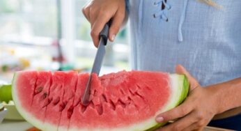 ¿Cuánto tiempo dura la sandía abierta? Descubre aquí la respuesta