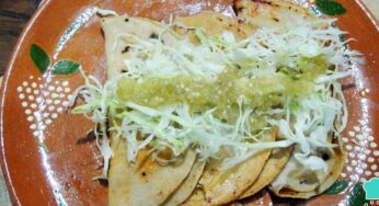 Cómo disfrutar de tacos al vapor recalentados en minutos