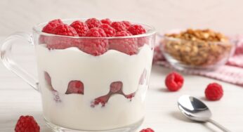 ¡Revelado! ¿Sabías que puedes congelar el yogur? Descubre cómo aquí