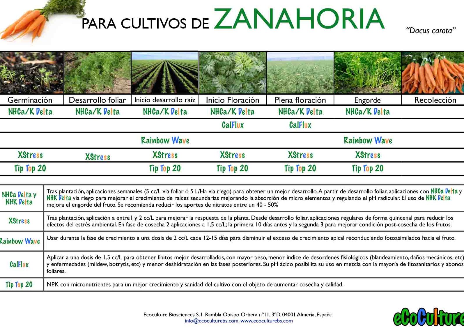 ¿Sabías cuánto pesa realmente una zanahoria? Descúbrelo aquí