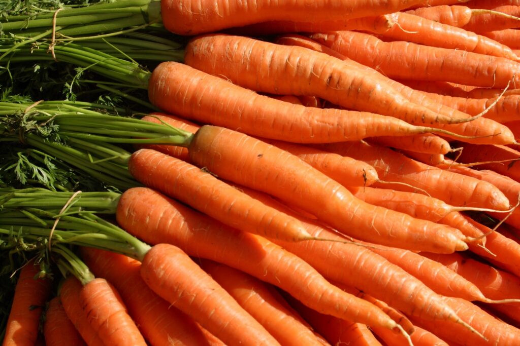 5 trucos geniales para conservar zanahorias peladas por más tiempo 1