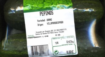 ¿Zucchini y pepino son sinónimos?: Descubre las diferencias.